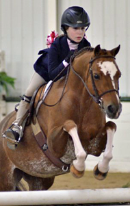 Devon 2009 Reserve Grand Champion Filly - Royalty